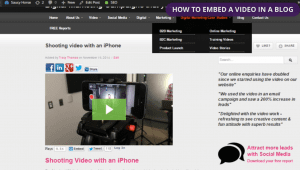 Saucy horse - How to embed a video in a blog