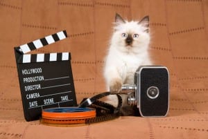 Video Marketing for SEO